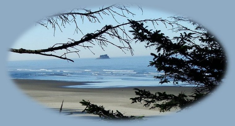 castle rock on the oregon coast part of the oregon islands national wildlife refuge.